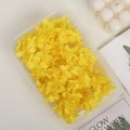 Preserved yellow hydrangea petals in a rectangular box for DIY floral craft projects - 5g / Yellow