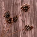 Set of 5 natural dried pine cones on long branches for rustic home floral decoration - A3-10# 3-4CM Pine Cone With Stem