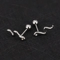 Macro detail of snake-shaped silver stud earrings with zircon head and screw back balls - Snake - Steel