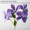 5-Head Flame Orchid Deep Purple