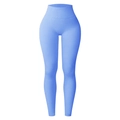 High-waisted seamless ribbed yoga pants in light blue finish for women fitness - S / Sky Blue