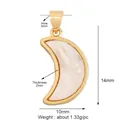 Man in the Moon mother of pearl gold pendant 14mm for necklaces and jewelry - Gold/Shell Moon
