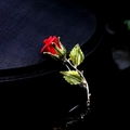 Elegant red rose enamel brooch with green leaves and gold stem in a floral design - Red Rose Flower Enamel
