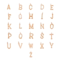 Polished rose gold stainless steel alphabet pendant set from A to Z on white background - Letter R / Rose Gold
