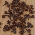 Natural dried wooden seed pods for Christmas DIY crafts and rustic home decor - Cross Fruit/Seed Pods