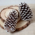 Natural pine cones with white snow spray on rustic wooden base for Christmas decor - Brushed White US Pine Cone 10-12cm