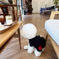 Warmer Haustier-Hoodie mit Herzmuster für kleine Hunde und Katzen in Schwarz - XS / Schwarz