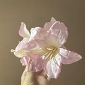 Detailopname van roze zijden lelie haarklem met glanzende bloembladen en realistische stamper - 3# Haarklem-Roze (3 bloemen)