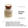 20ml travel-size scented candle in a glass jar with cork lid and woody scent - Cold Mist Vetiver