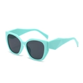 Retro cat-eye sunglasses with mint green frame and geometric temples in gray lens - Apple Green Frame Black Grey Lenses