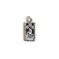 Silver tarot pendant featuring a black XVII The Star design with sparkling crystals - Steel - Star