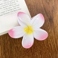 Tropical white and pink gradient Frangipani hair claw clip on vintage book background - Rose Pink Gradient