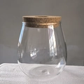 Clear creative hydroponic glass vase with natural cork lid for micro landscape plants - Teardrop Large