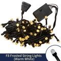 F8 frosted LED string lights with warm yellow glow, including black controller and plug - F8 Frosted Warm White (OPP Bag) / 9.5M 100LED