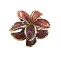 Translucent reddish-brown flower hair claw clip with gold frame and five-petal design - Gold Rim Plumeria [Red]