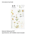 Daisy theme waterproof PET stickers for scrapbooking in 105x150mm size - Daisy (1 Sheet)