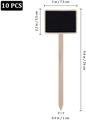 10er-Set Mini-Holztafeln für Pflanzen mit Größenangaben und Produktdetails auf Weiß - Länge 24cm
