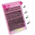 DIY Nature heat-melted D-curl segmented eyelashes mixed pack 10-16mm in 30 clusters - 30P Single Box
