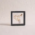 Dettaglio scatola porta gioielli 7x7cm in pellicola PE nera con collana a orso - Nero - Piccolo (7x7)