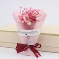 Mini bouquet de gypsophile rose séché avec ruban élégant emballage cadeau - Bouquet De Gypsophile (10 Pièces) / Autre