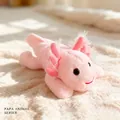 Salamander 25cm [100g] Spot Wholesale