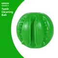 Juguete masticable de rugby verde para perros con textura para la limpieza dental - Bola de Limpieza Dental / Verde