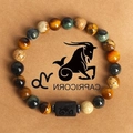 Capricorn (SL1212)