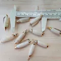 Makroaufnahme der vergoldeten Muschelanhänger mit Größenmessung von 30mm für DIY-Schmuck - Weiß geränderte Mitra-Schnecke