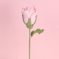 Handmade crochet pink rose flower with green leaves for Valentine's Day gift - Pink