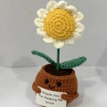 Handmade knitted sunflower in a brown pot doll with Thank You For Helping Me Grow card - Positive Potted-Chamomile 2