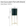 Moderno vaso succulento verde scuro con supporto a treppiede in metallo dorato, alto - Verde Scuro - Vaso Alto