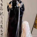 Chinese butterfly hair clips with iridescent wings and long flowing silk tassels - Tassel Pair Clips / Rainbow