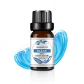 10ml Ozean-Duftöl in dunkler Glasflasche für Aromatherapie und Luftbefeuchter - Ozean Duftöl