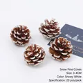 Pack of 20 mini pine cones with artificial snow, 3-4cm natural rustic Christmas ornaments - Snow-covered Pinecones
