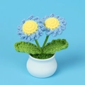 Hand-knitted crochet daisy in blue and yellow petals with a white ceramic pot - Blue