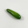 Single realistic artificial mini green plum prop with smooth glossy finish on white background - Mini Cucumber