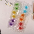 12 Transparent Pieces In 6 Colors Per Pack Standard