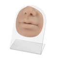 Silicone nose and mouth model for piercing practice on a transparent acrylic stand - Model + Display Stand / Coffee