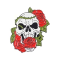 Creative enamel skull and red rose brooch pin with green vine details for gothic accessory - Skull Biting Rose Style (XZ5943)