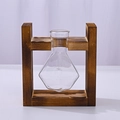Vaso idroponico in vetro a forma di diamante con supporto minimalista in legno - Supporto in legno + 1 vaso in vetro diamante