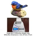 Miniature resin bird ornament with blue feathers and orange chest on wood base - Single Piece (with White Box) / Blue Bird