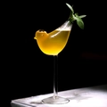 Creative bird shaped glass cocktail cup in clear glass for molecular mixology decor - Bird Shape Glass