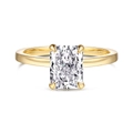 Elegant gold S925 sterling silver ring with rectangular radiant cut ice flower zircon - Rectangle Gold Simple