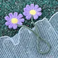 Marguerite Violette À Deux Têtes