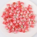 Makroaufnahme von rosa tulpenförmigen Acrylperlen mit Wassertropfen auf weißem Teller - 1 Stück / Fleischrot