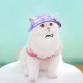Detail of a purple satin sun hat on a cat with an adjustable black safety strap buckle - M (Head 34cm) / Purple Tie Dye