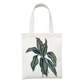 Cream canvas tote bag featuring artistic green plant leaf illustration with large capacity - Artistic Broadleaf Plant (STD2-T)