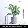 Realistic artificial taro leaf plant in grey ceramic pot for modern home decor, 40cm tall - Taro Leaves - Artificial Flower Ornament In A Cement Pot