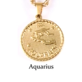 18K gold plated titanium steel Aquarius zodiac coin necklace with a rope chain - Aquarius / Gold