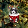 Bernersennenhund Welpe in einer roten Weihnachtstasche als festlicher Anhänger - Berner Sennenhund